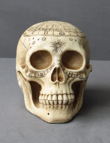 Astrology Skull