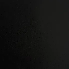 Black Thick Leather Swatch