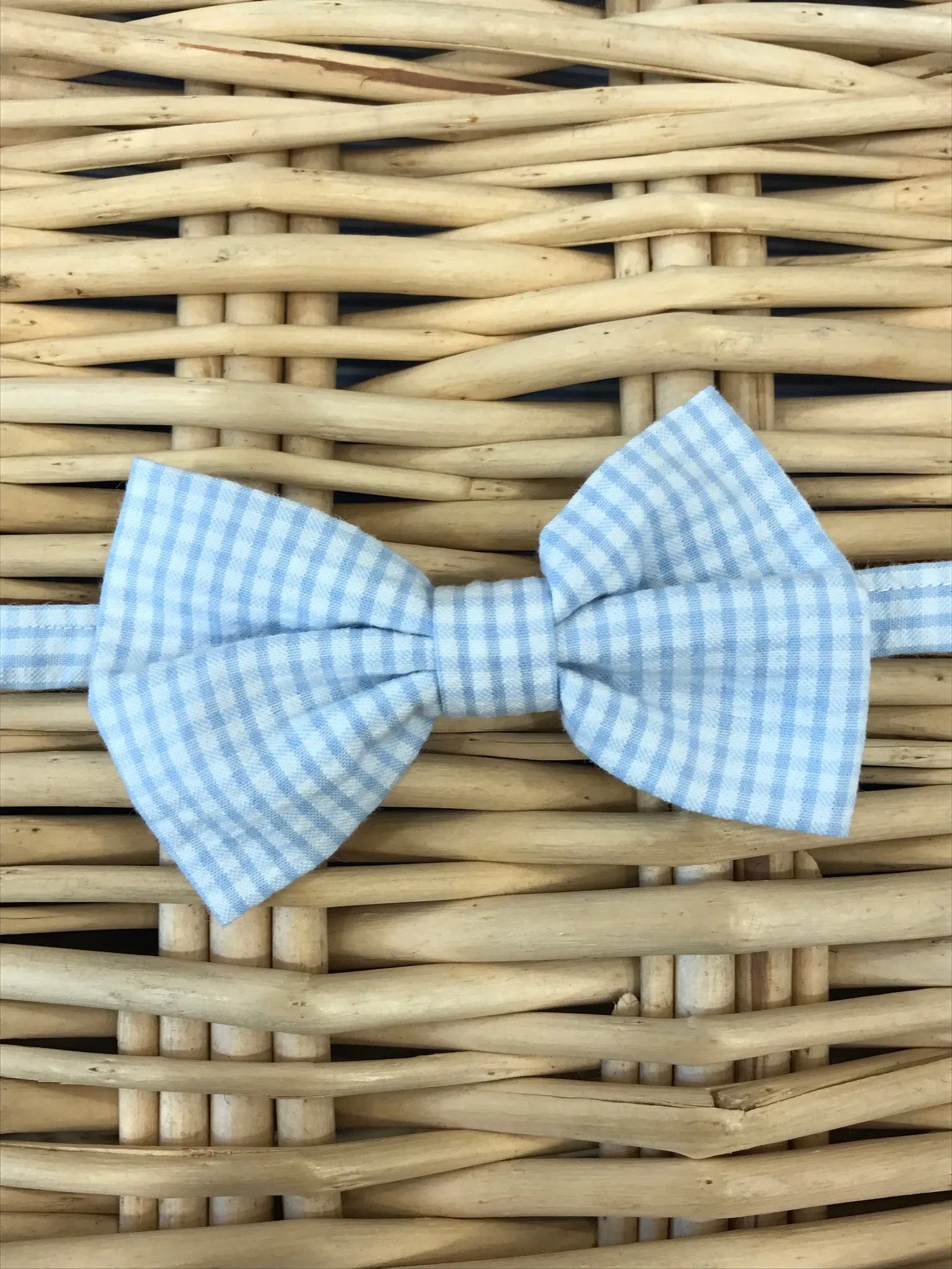 Bow Tie