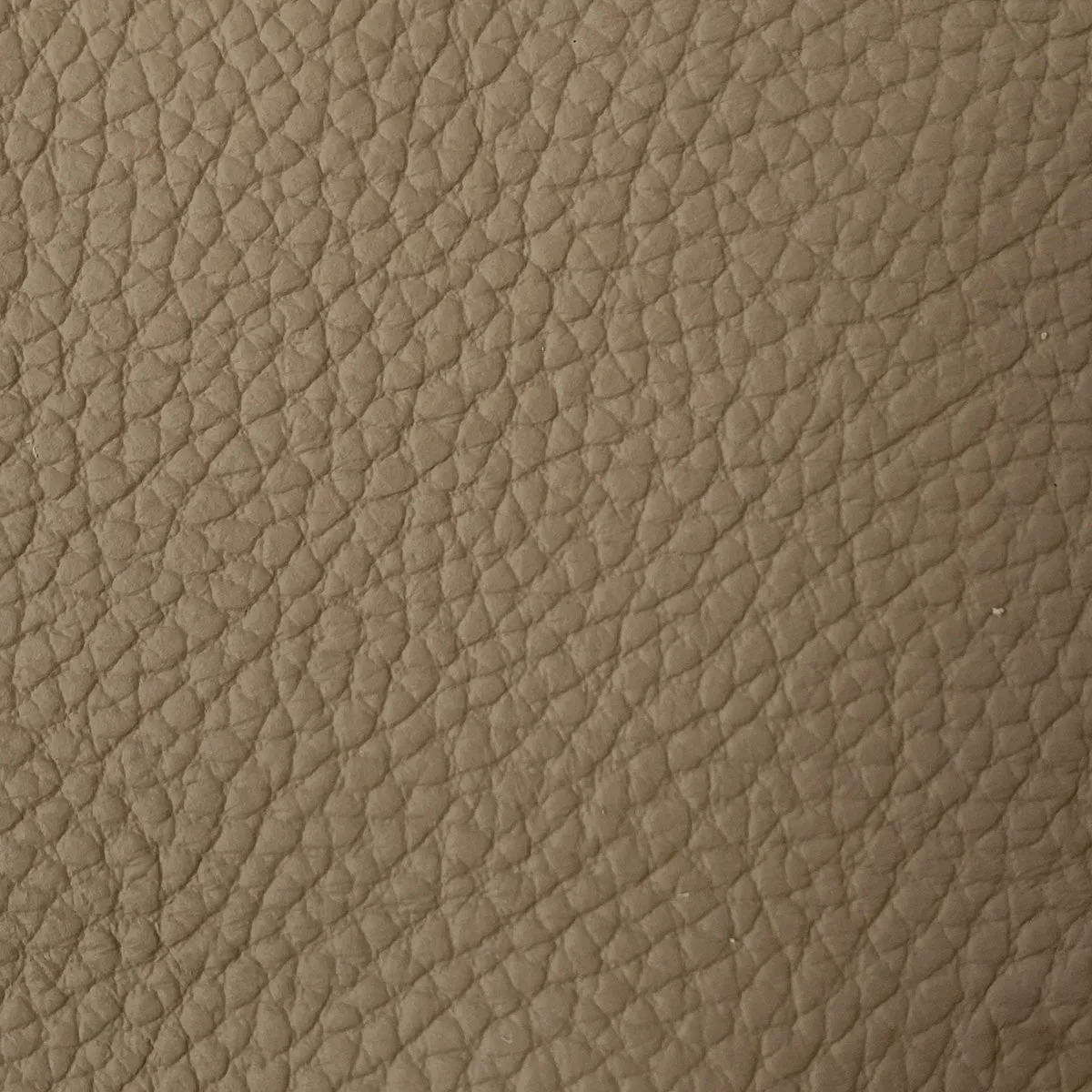 Camel Leather S00418 Swatch