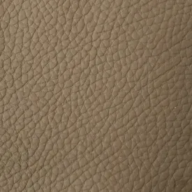 Camel Leather S00418 Swatch