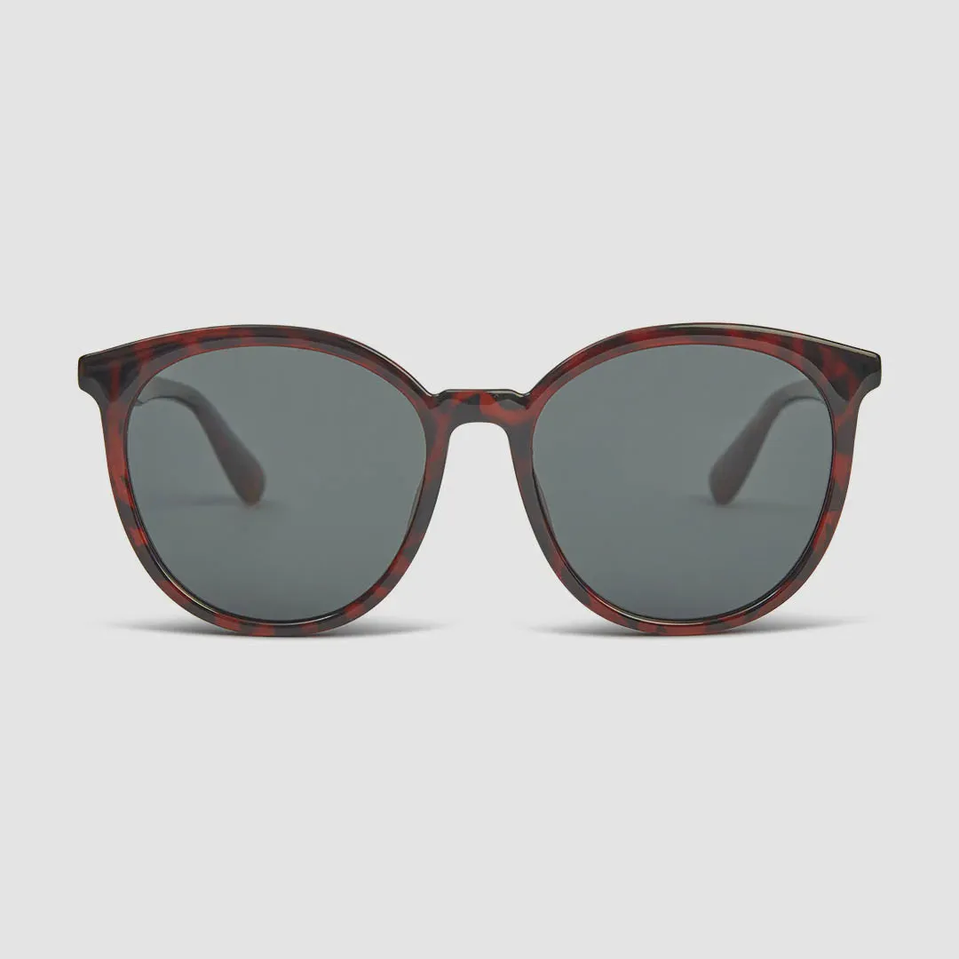 CNS - Tort Grey