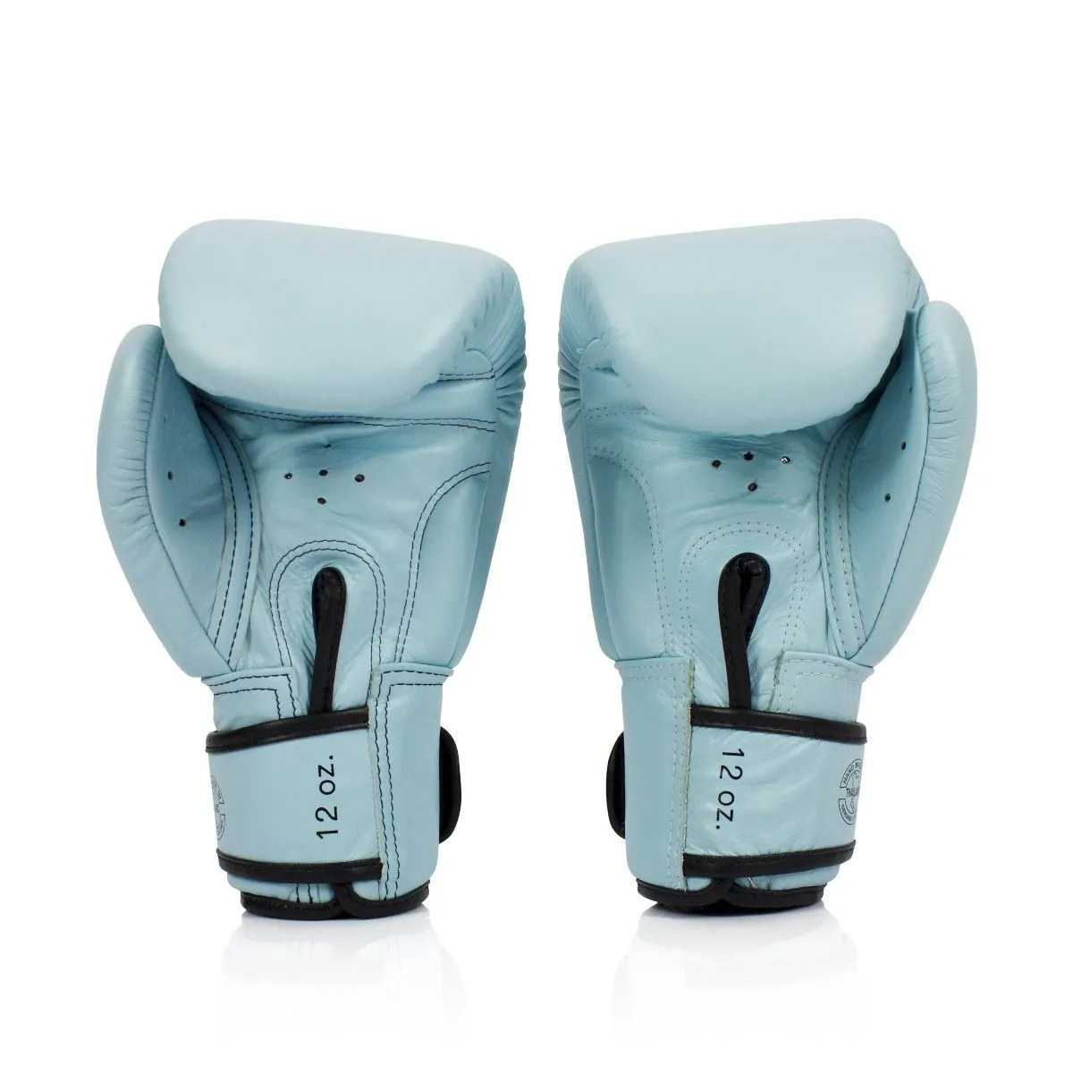 Fairtex Boxing Gloves Baby Blue Bgv20