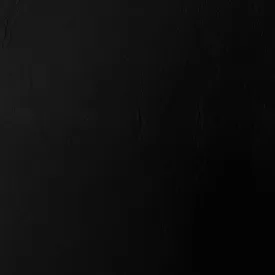 Midnight Black Leather Swatch