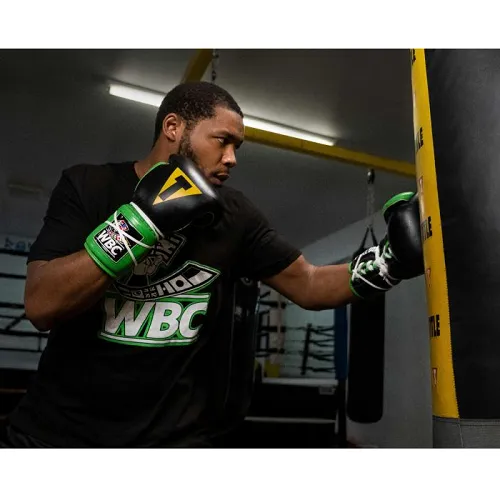 Title Boxing WBC Sparring Gloves